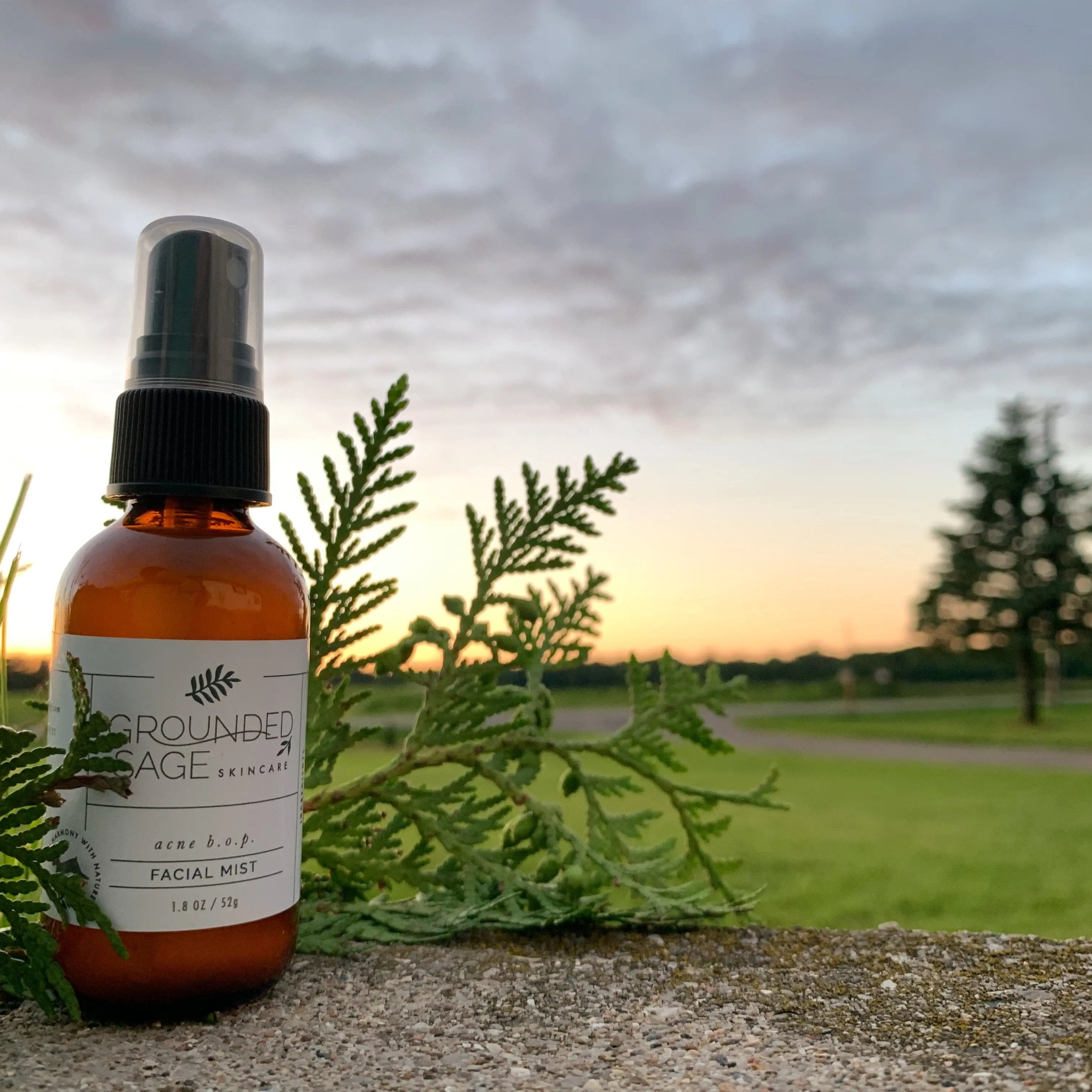 Acne B.O.P. Facial Mist (Toner)