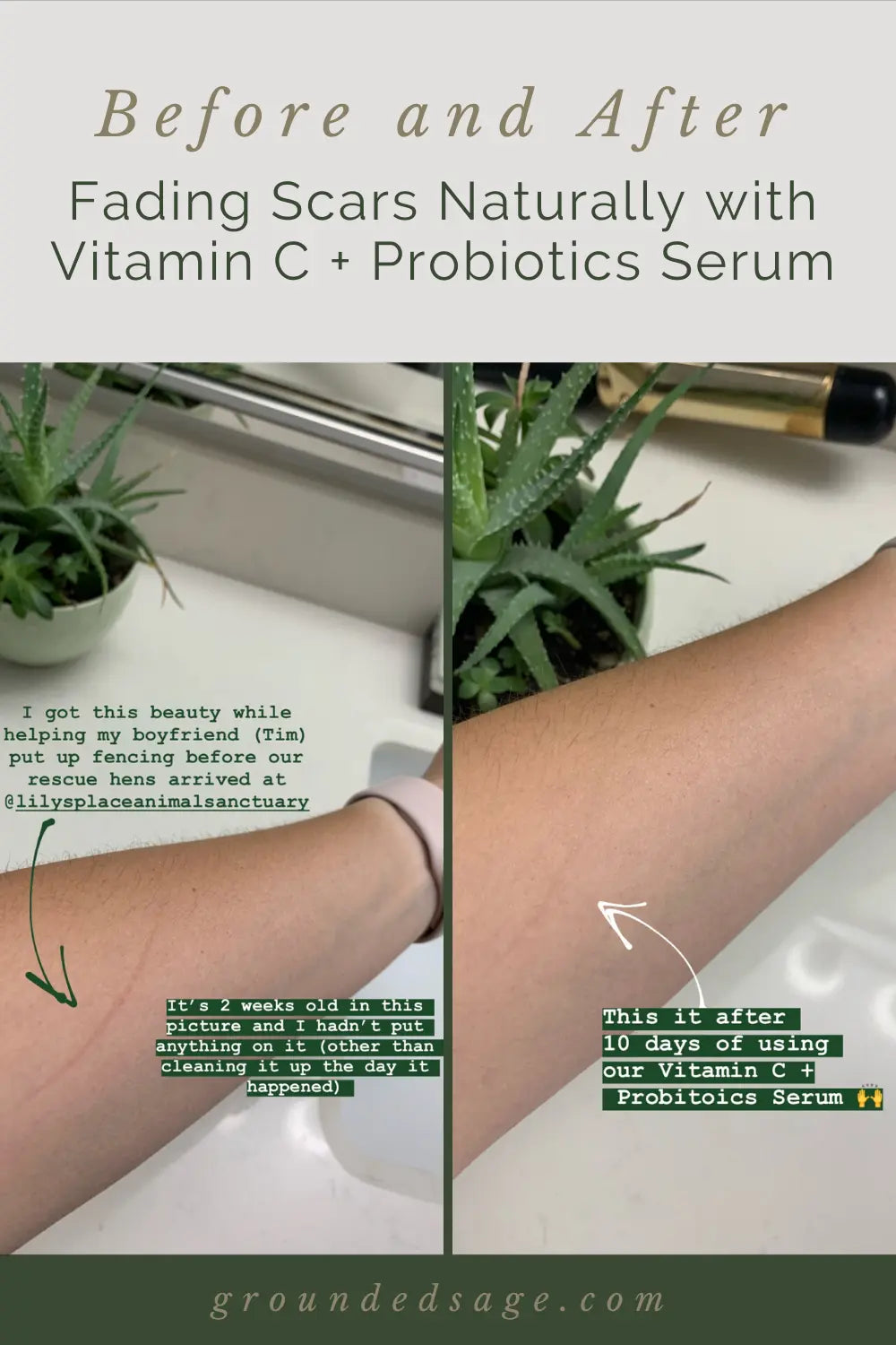 Vitamin C + Probiotic Facial Serum