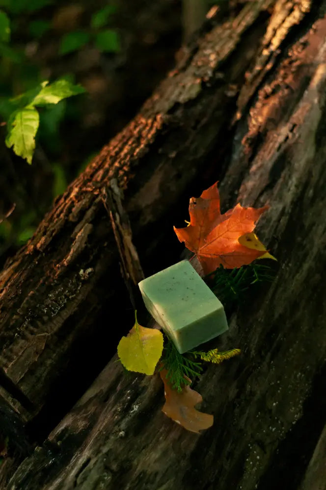 Woodland Trail Earthy Handmade Soap Bar